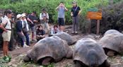 ガラパゴス滞在サンタクルス島3泊 ガラパゴス滞在サンタクルス島3泊