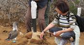 ガラパゴス滞在サンタクルス島3泊 ガラパゴス滞在サンタクルス島3泊